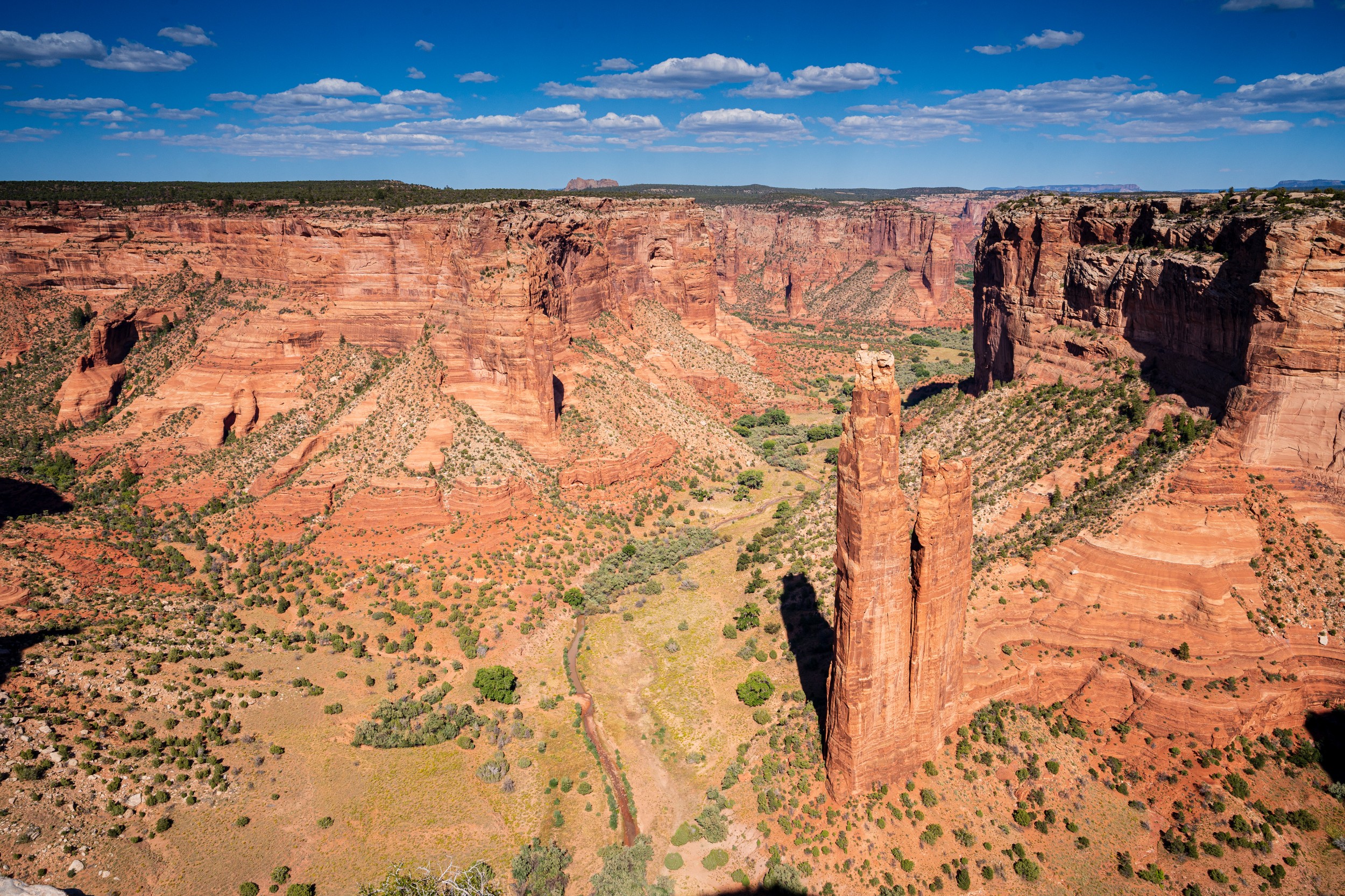 USA 2024 5 Sterne 82